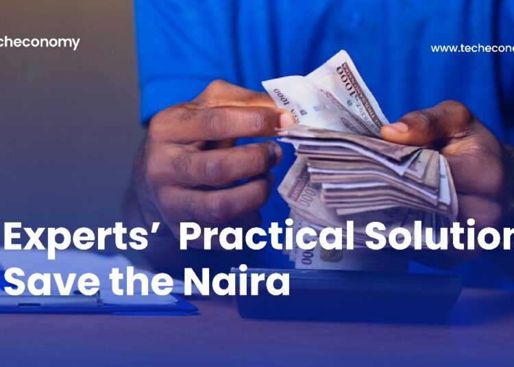10 Experts’ Practical Solutions to Save the Naira