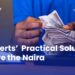 10 Experts’ Practical Solutions to Save the Naira