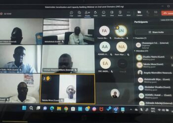 2nd Level Domains - Anambra