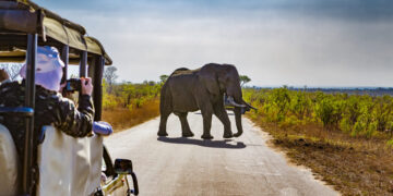 African Travel & Tourism by shutterstock