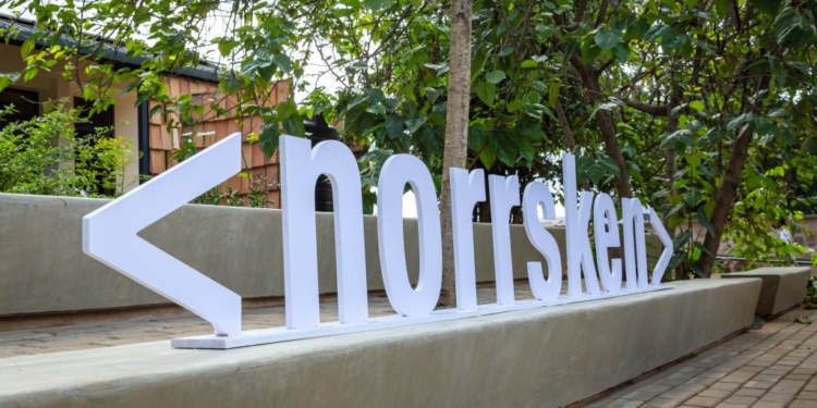 Despite Global Slowdown, Norrsken22 Closes Debut Fund at $205m for African Tech Investment