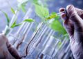 biotech
