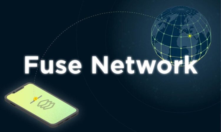 Fuse Network Web3 Programme