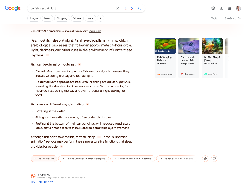 Google Generative AI Search - Desktop