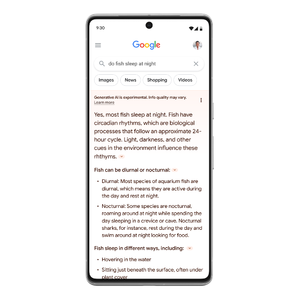 Google Generative AI in Search - Mobile version