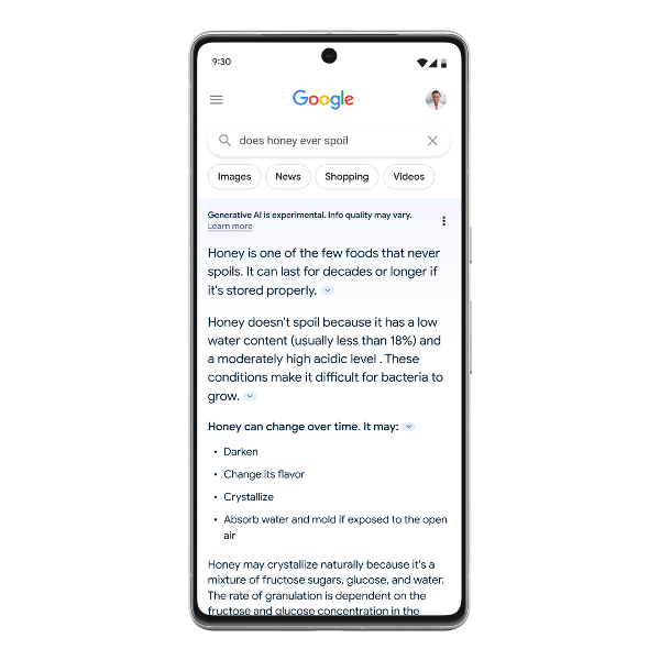 Google Generative AI in Search - Mobile version