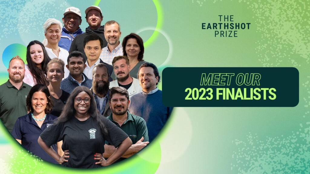 Apply The Earthshot Prize 2024 Offers £1 Million Prize Money for CuttingEdge Climate Solutions