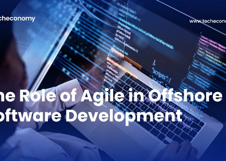 Offshore software development