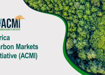 Africa Carbon Markets Initiative (ACMI) -