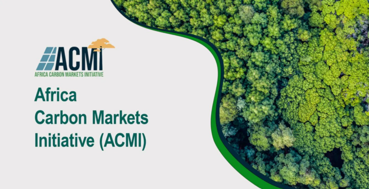 Africa Carbon Markets Initiative (ACMI) -