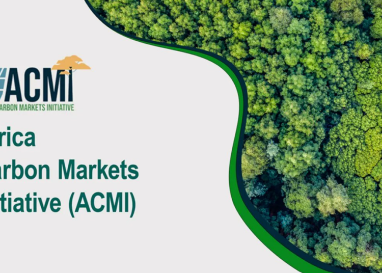 Africa Carbon Markets Initiative (ACMI) -