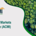 Africa Carbon Markets Initiative (ACMI) -