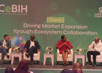 CeBIH and Interswitch event