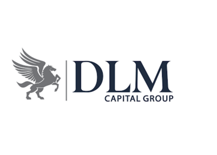 DLM Capital Group