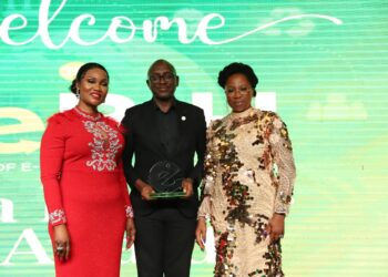 Interswitch wins CeBIH award