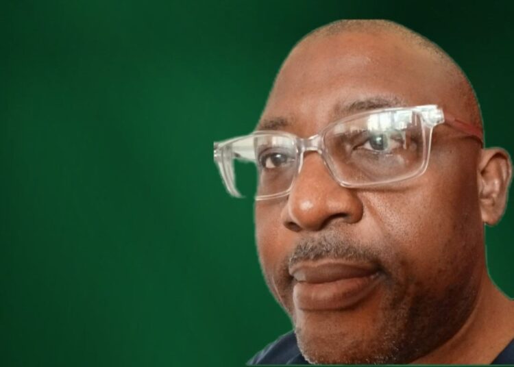 renewable energy, Net Zero economy, sustainability, cybersecurity and education by PROF OJO EMMANUEL ADEMOLA | National security | Digital Intelligence