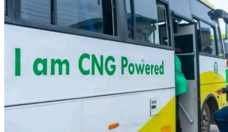 CNG mass transit buses