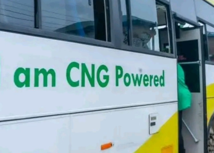 CNG mass transit buses