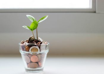marketing with growth | Francis Udogu
