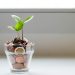 marketing with growth | Francis Udogu
