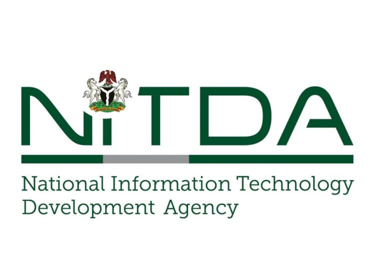 NITDA guidelines for contractors
