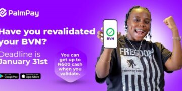 PalmPay BVN\NIN