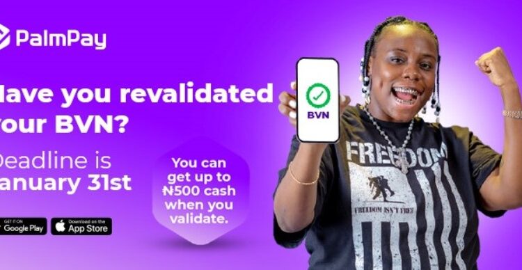 PalmPay BVN\NIN