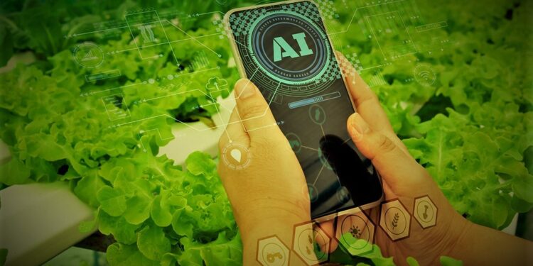 agro-food distribution