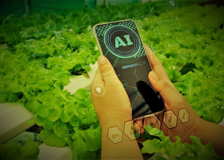 agro-food distribution