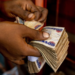 Treasury bills - old naira notes, Nigerian Banking System