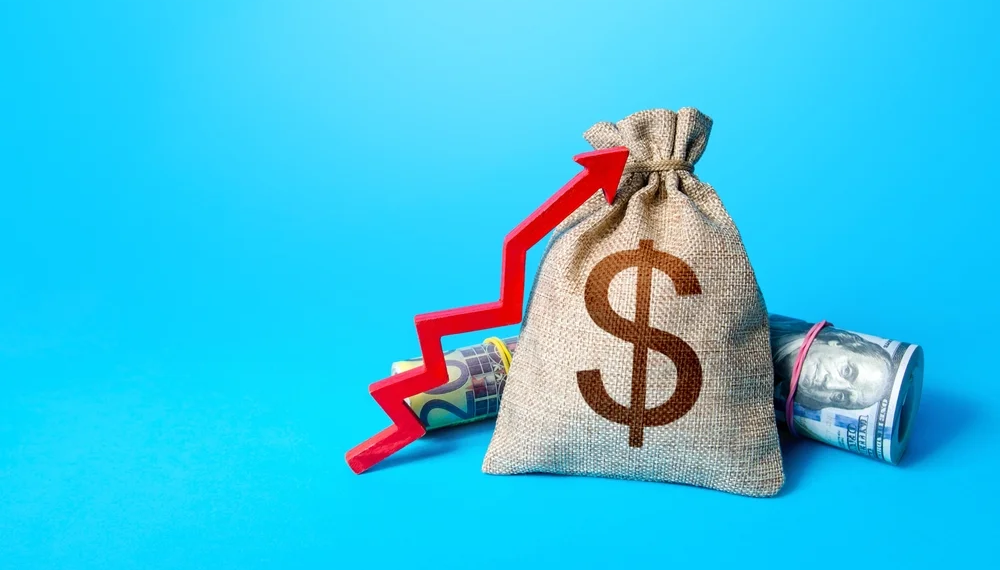 debt financing vs equity financing | EAAIF