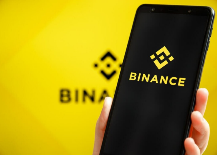 Binance and Gambaryan