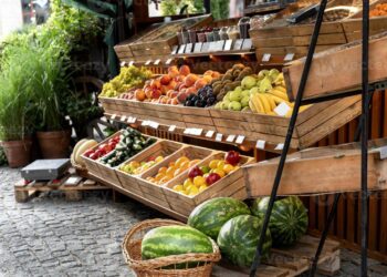 CADEF - Food prices Monitor