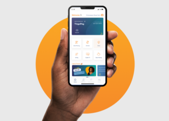 Contractors Laid Off Amidst Fraud Charges Against Tingo Mobile