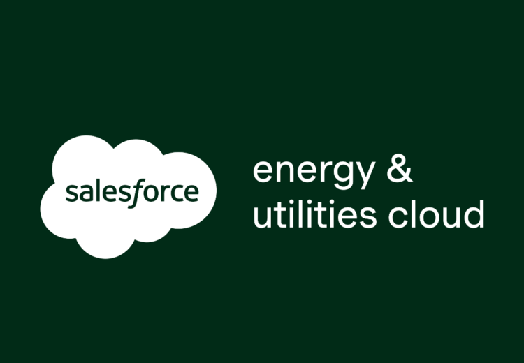 Salesforce Energy & Utilities Cloud