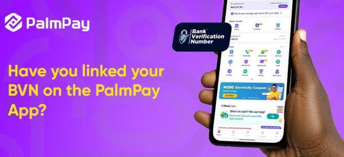 How to Link NIN and BVN to PalmPay