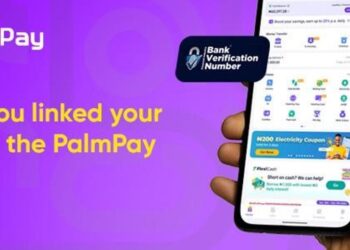 How to Link NIN and BVN to PalmPay