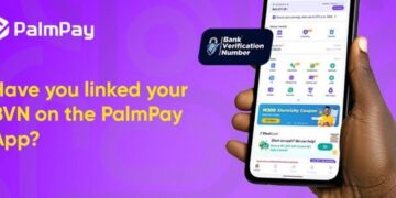 How to Link NIN and BVN to PalmPay