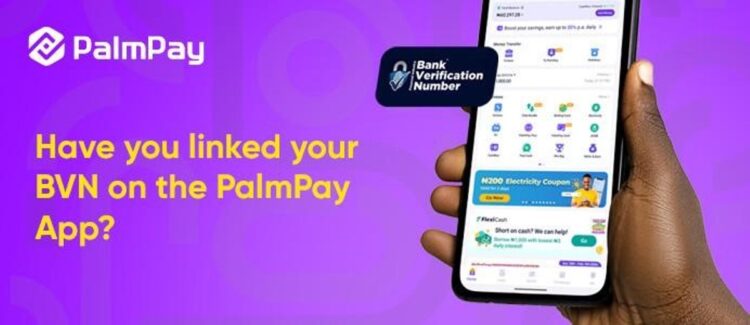 How to Link NIN and BVN to PalmPay