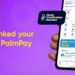 How to Link NIN and BVN to PalmPay