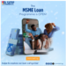 LSETF Loan programme