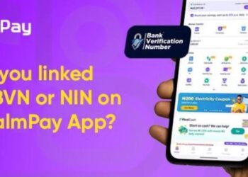 PalmPay NIN and BVN