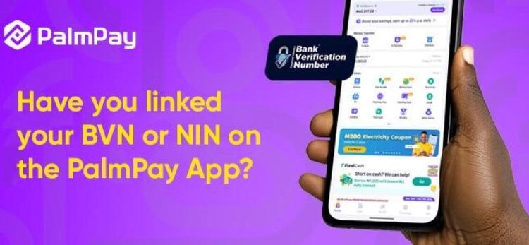 PalmPay NIN and BVN