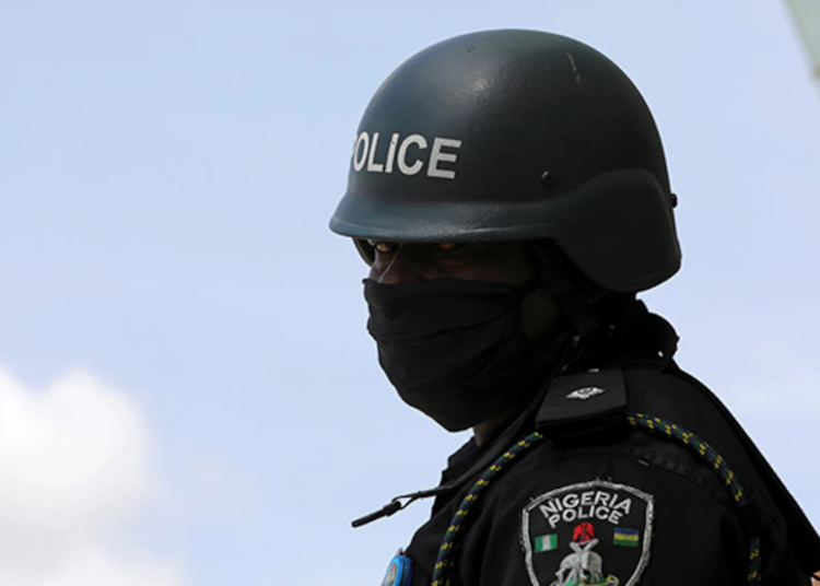 Smart Policing - State Police in Nigeria and cybersecurity