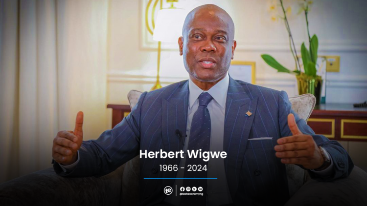 BIOGRAPHY - The Man Herbert Wigwe