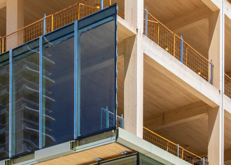 mass timber market report by Allianz Commercial