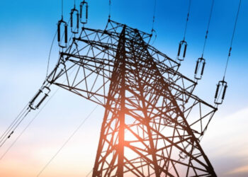 electricity subsidy, EEDC SubCo | 2025 budget and NESG