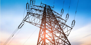 electricity subsidy, EEDC SubCo | 2025 budget and NESG
