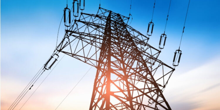electricity subsidy, EEDC SubCo | 2025 budget and NESG