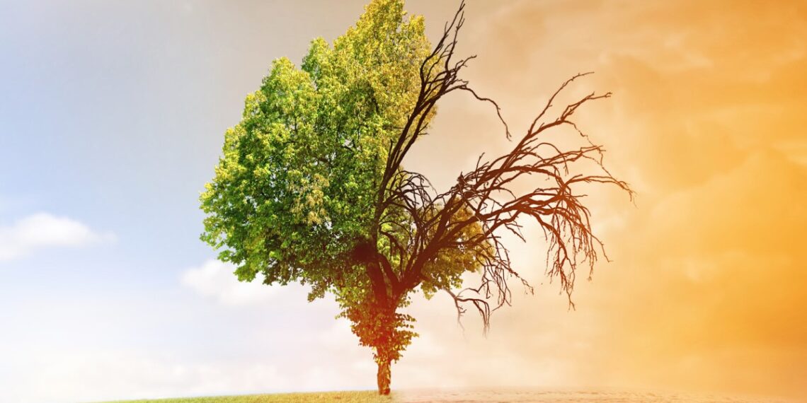 AI and climate change